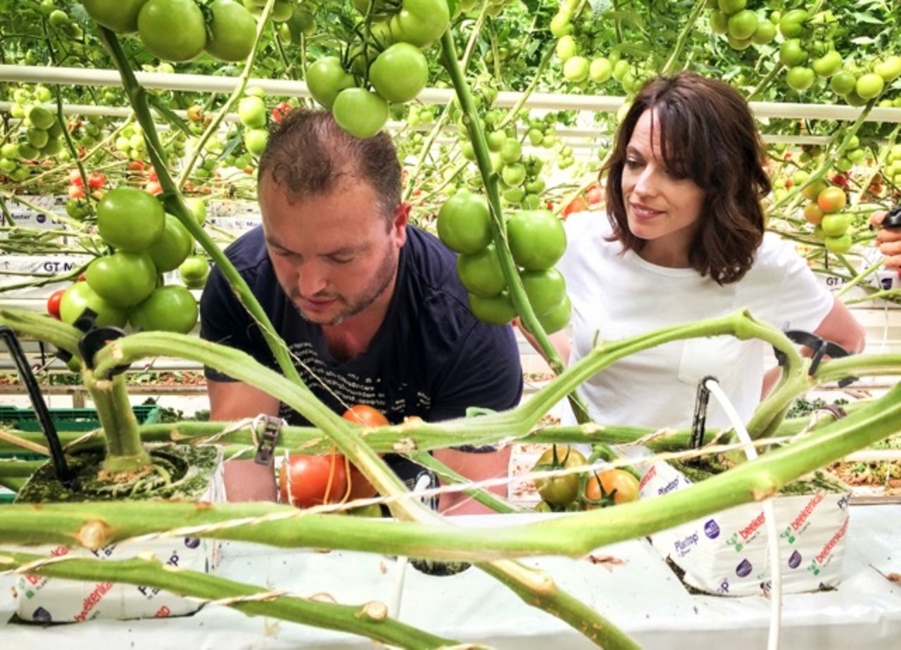 Mona Vetsch mit dem Gewächshausvorarbeiter Manuel De Sousa im Tomatengewächshaus. (Bilder SRF)