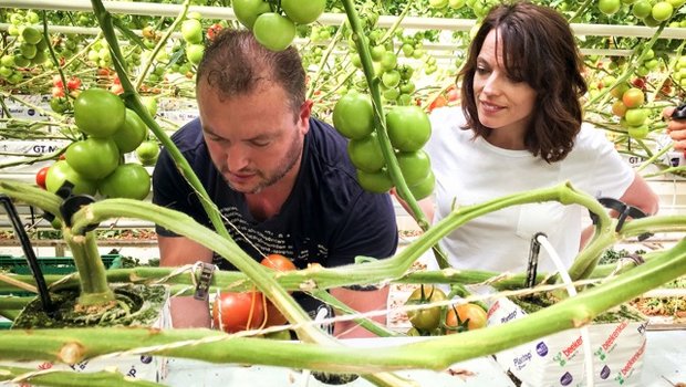 Mona Vetsch mit dem Gewächshausvorarbeiter Manuel De Sousa im Tomatengewächshaus. (Bilder SRF)