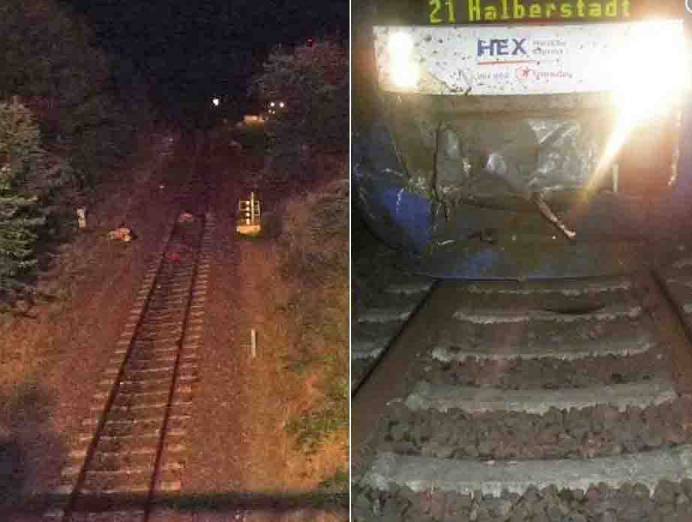 Beim Unfall wurde der Zug stark beschädigt. 13 Tiere starben. (Bild Screenshot agrar-heute.com)