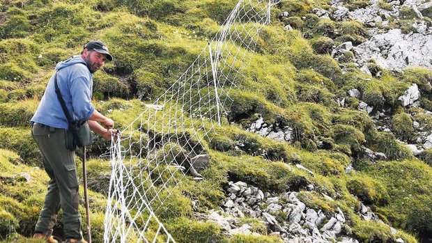 Rund sechs Kilometer Rund sechs Kilometer Herdenschutz- und Weidezaunnetze stellte Saro Keinath diesen Sommer auf den Alpweiden.