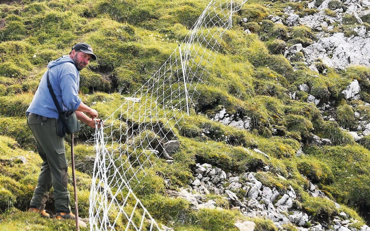 Rund sechs Kilometer Herdenschutz- und Weidezaunnetze stellte Saro Keinath diesen Sommer auf den Alpweiden. 