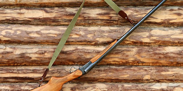 Umweltverbände hatten das Referendum gegen die geplante Revision des Jagdgesetztes ergriffen. (Bild Pixabay)