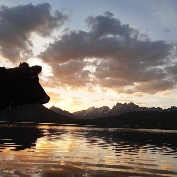Morgenstimmung am Melchsee, Melchsee Frutt  (Bild: Nadia von Rotz)