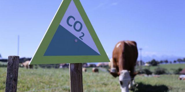 Die Landwirtschaft ist vom Klimawandel stark betroffen, so etwa durch Trockenheit und andere extreme Wetterereignisse. (Bild lid/ji)