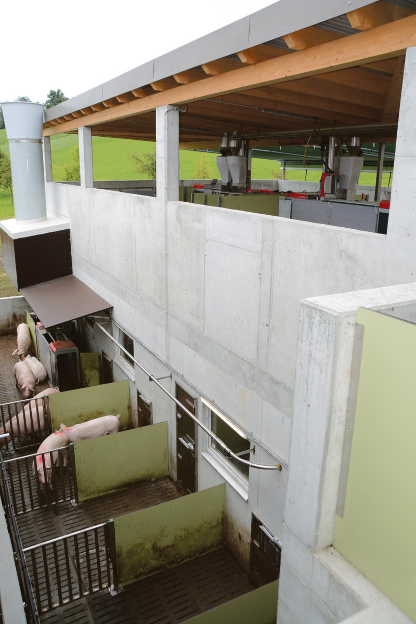 Oben der Auslauf für die Galtsauen mit Futterstation. Eine Etage tiefer sind die Sauen im Deckcenter.