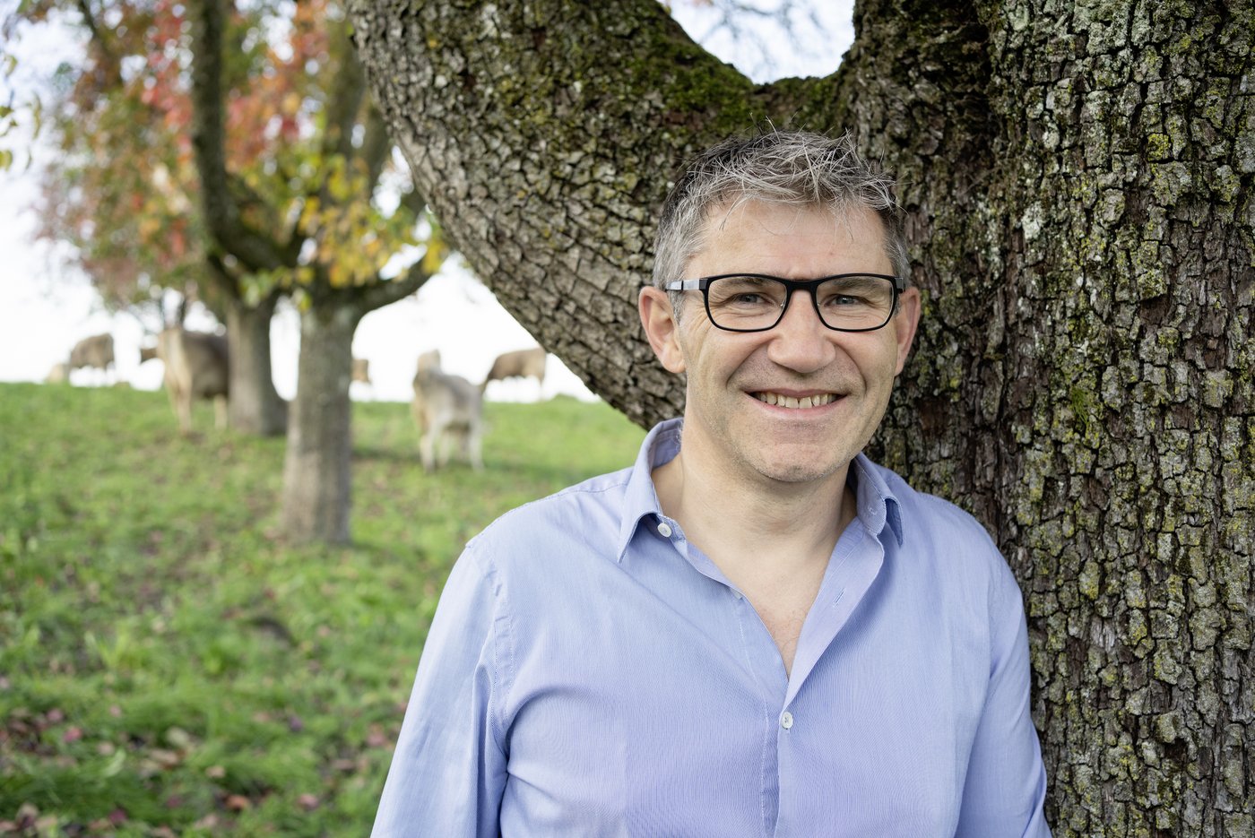 Christian Manser ist am LZSG Ressortleiter Tierhaltung und Chef der Olma-Tierschauen. (Bild Christian Manser)