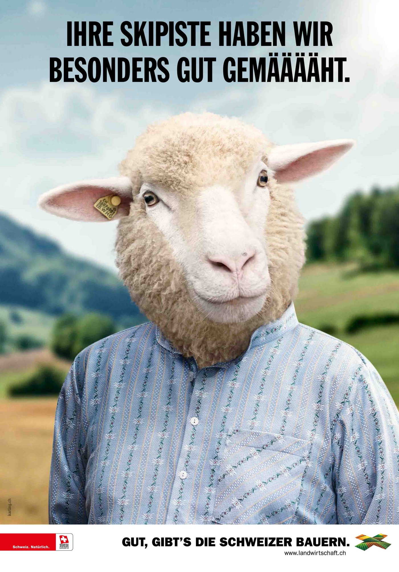 ... ein Schaf mit von der Partie. 