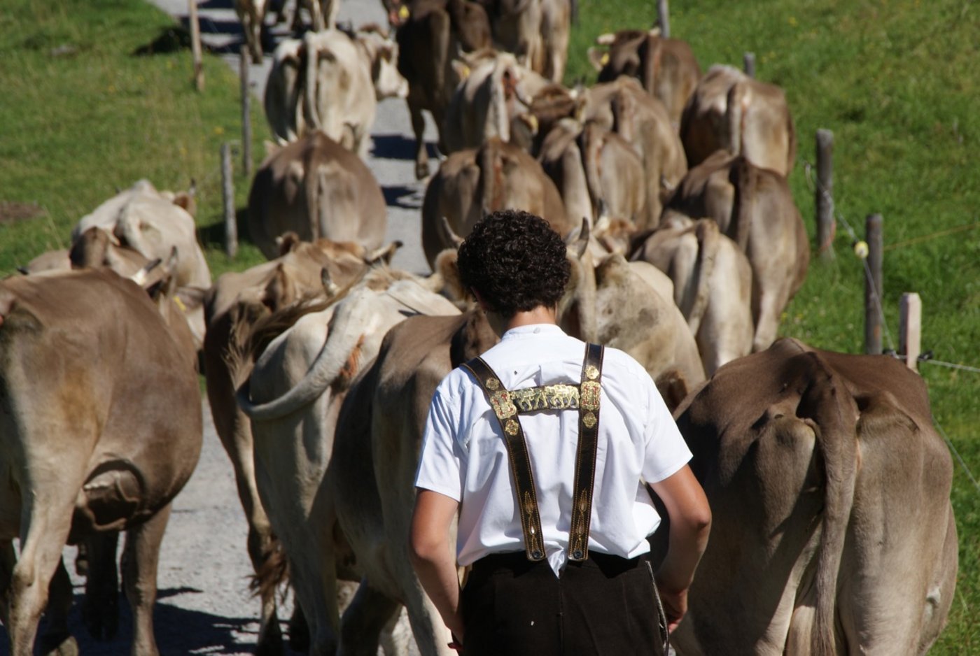 Alle gehen in die gleiche Richtung, nach Hause.