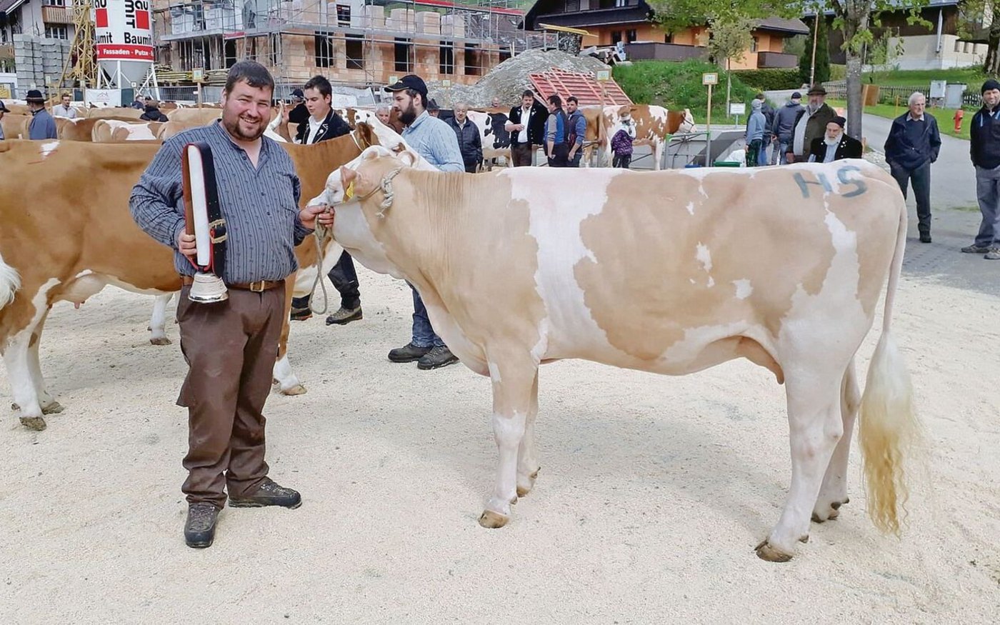 Miss Schöneuter bei den Simmental wurde Belinda von Vereinspräsident Markus Thalmann