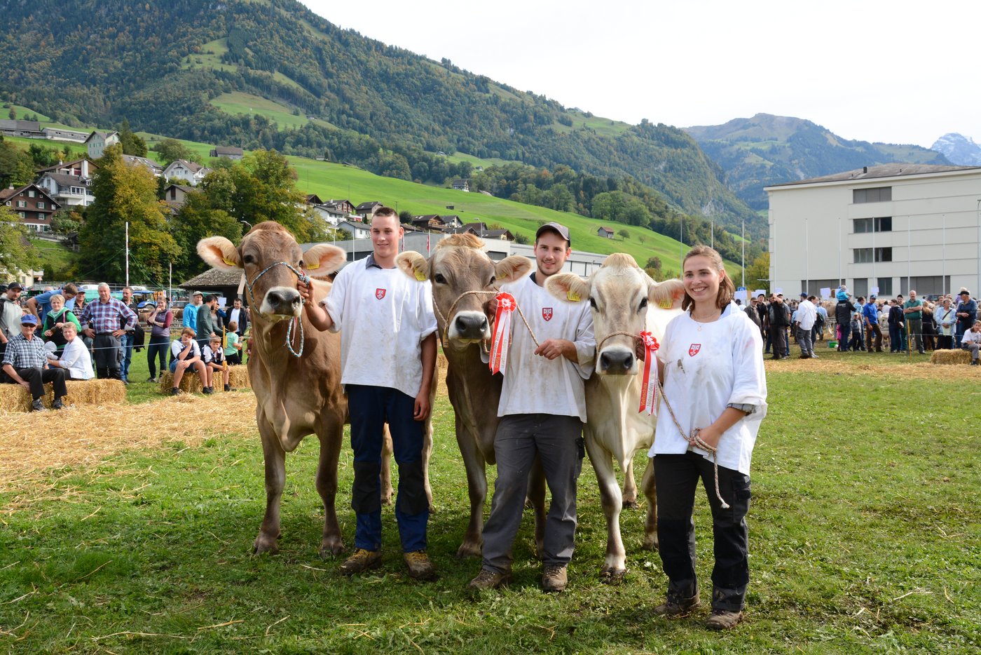 Das Podest der Brown-Swiss-Kühe (v.l.n.r): Blooming Belinda von Martin Risi, Dallenwil (3.); Siegerin Sesam Swetlana, Sepp Lussi, Oberdorf; Natura Nirvana von Sepp Lussi (2.).