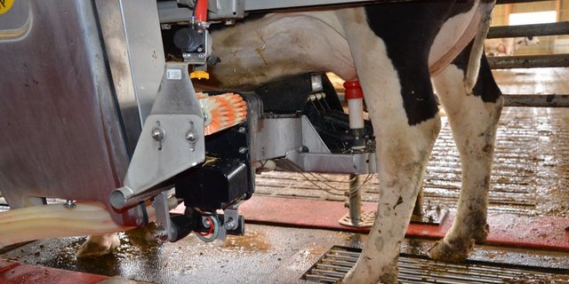 Der Bundesrat hält fest, dass die zunehmende Digitalisierung der Wirtschaft vorderhand keine negativen Auswirkungen auf die Beschäftigungssituation und die Löhne habe. (Bild Aline Küenzi) 