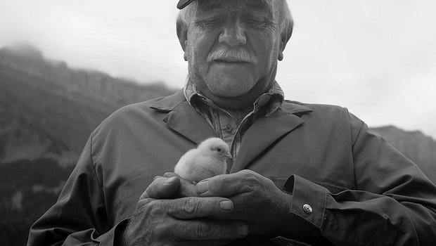 Nach all den Jahren ist Lehmeli Chrigu überzeugt, dass das Huhn, nicht das Ei, zuerst da war.