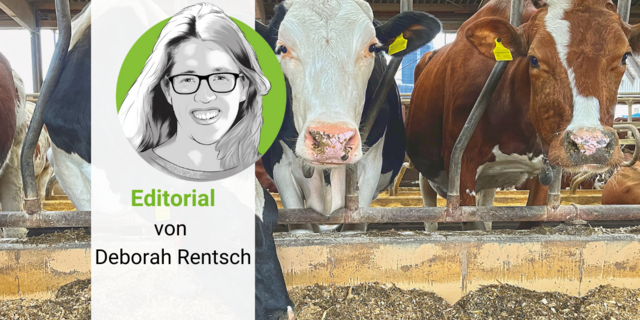 Die Porträt-Zeichnung von Deborah Rentsch, vor einem Foto von drei Kühen, die den Kopf durch das Gitter strecken und Futter fressen.