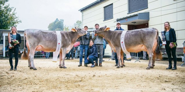 Grand Champion der 26. Entlebucher Eliteschau: Franzen BS Salomon Sina (rechts) mit Vize Heinen’s Superstar Yasmin, beide im Besitz von Franz und Pascal Felder, Marbach LU.