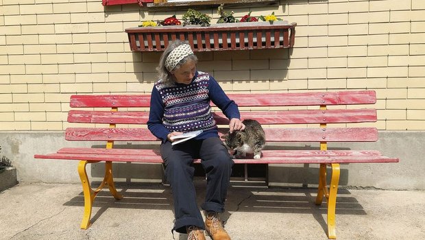 Den Betrieb haben Th Den Betrieb haben Therese Bussmann und ihr Mann dem gemeinsamen Sohn übergeben. So hatte sie Zeit, ihren Traum vom Buch zu verwirklichen.