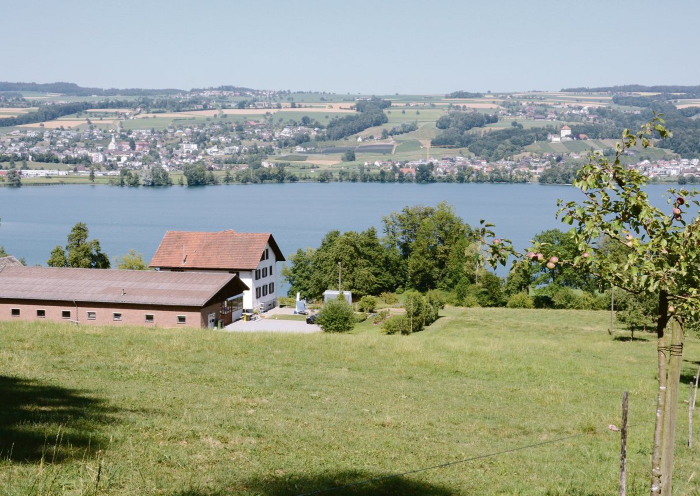 Der Baldeggersee bleibt ein Sorgenkind bei der Sanierung der Mittellandseen. Die P-Einträge sind zwar laufend gesunken, die Phosphorkonzentration im See ist aber immer noch zu hoch. (Bild js)