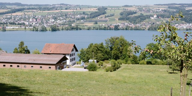 Der Baldeggersee bleibt ein Sorgenkind bei der Sanierung der Mittellandseen. Die P-Einträge sind zwar laufend gesunken, die Phosphorkonzentration im See ist aber immer noch zu hoch. (Bild js)