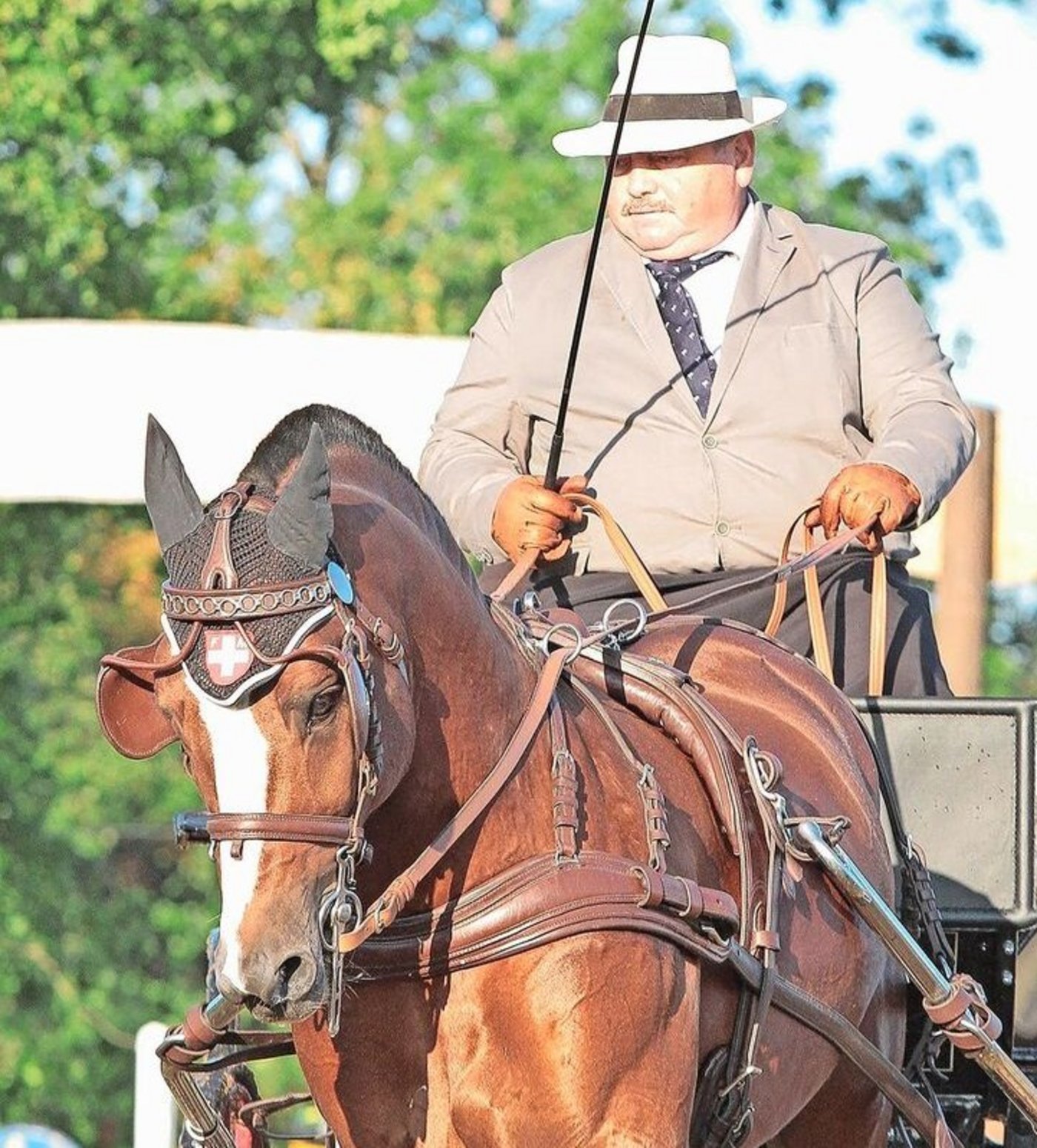 Heinz Mägli, hier mit Hengst Hiro, war Richter und Mitglied des SFV-Vorstands. Er fordert mehr Einsatz zugunsten der FM-Familie.