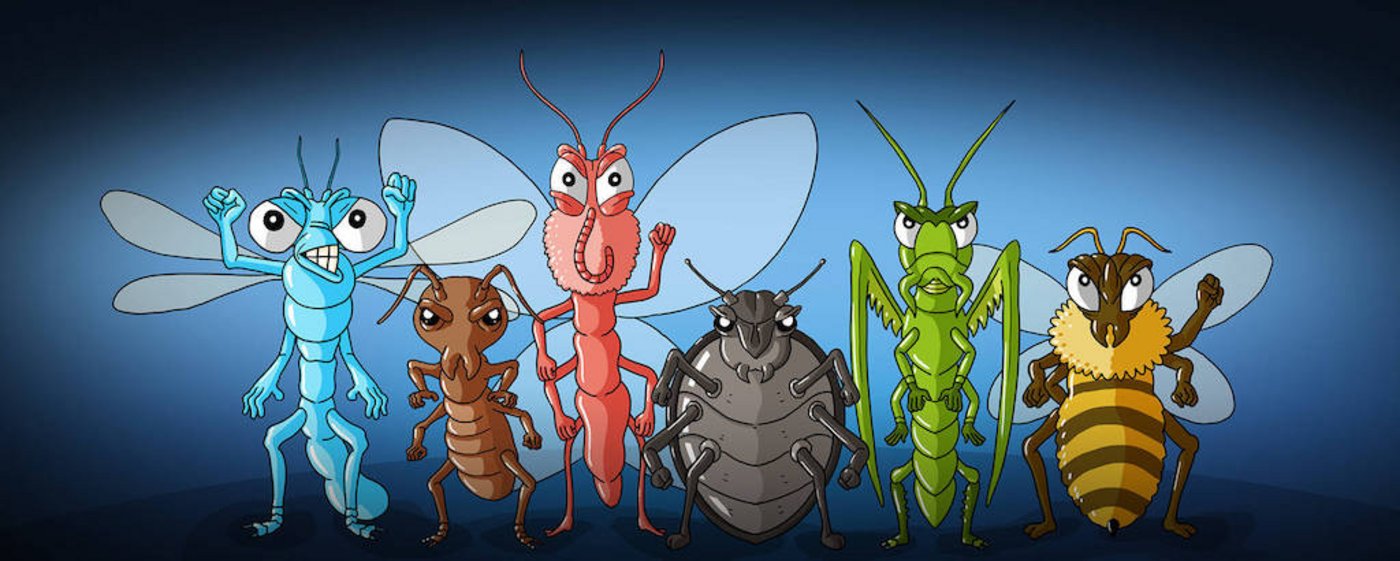 Pro Natura setzt sich für die Insekten ein. (Bild Pro Natura)