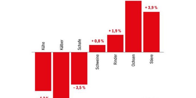 Entwicklung Schweizer Fleisch-Produktion erste drei Quartale 2020 verglichen mit Vorjahresperiode. (Quelle Agristat)