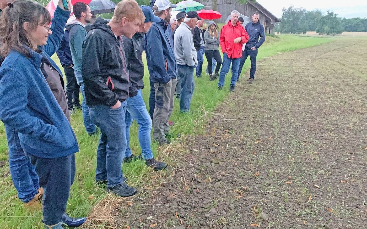 Bisher noch nicht ideale Wachstumsbedingungen: Die Hirse bei Christoph Widmer (in roter Jacke) wurde allerdings erst am 20. Juni gesät und bräuchte in den nächsten Wochen nun sehr viel Wärme. 