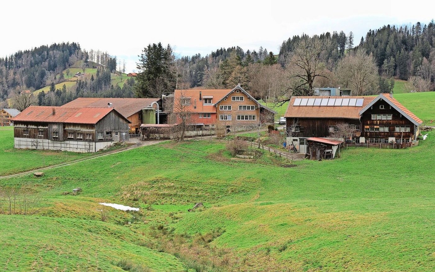 Der Hof Langenegg und seine Betriebs- und Wohngebäude liegt auf 1000 Metern über Meer im Appenzellerland.