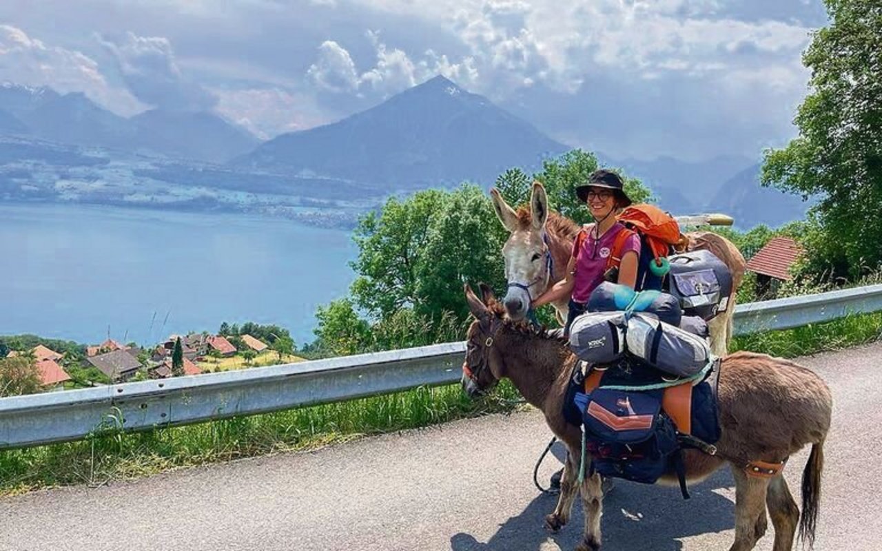 Unterwegs über dem Thunersee: Sofia Benagli mit dem 7-jährigen Wallach Leopoldo und der 19-jährigen Eselin Batuffola. Im Hintergrund der Niesen. 