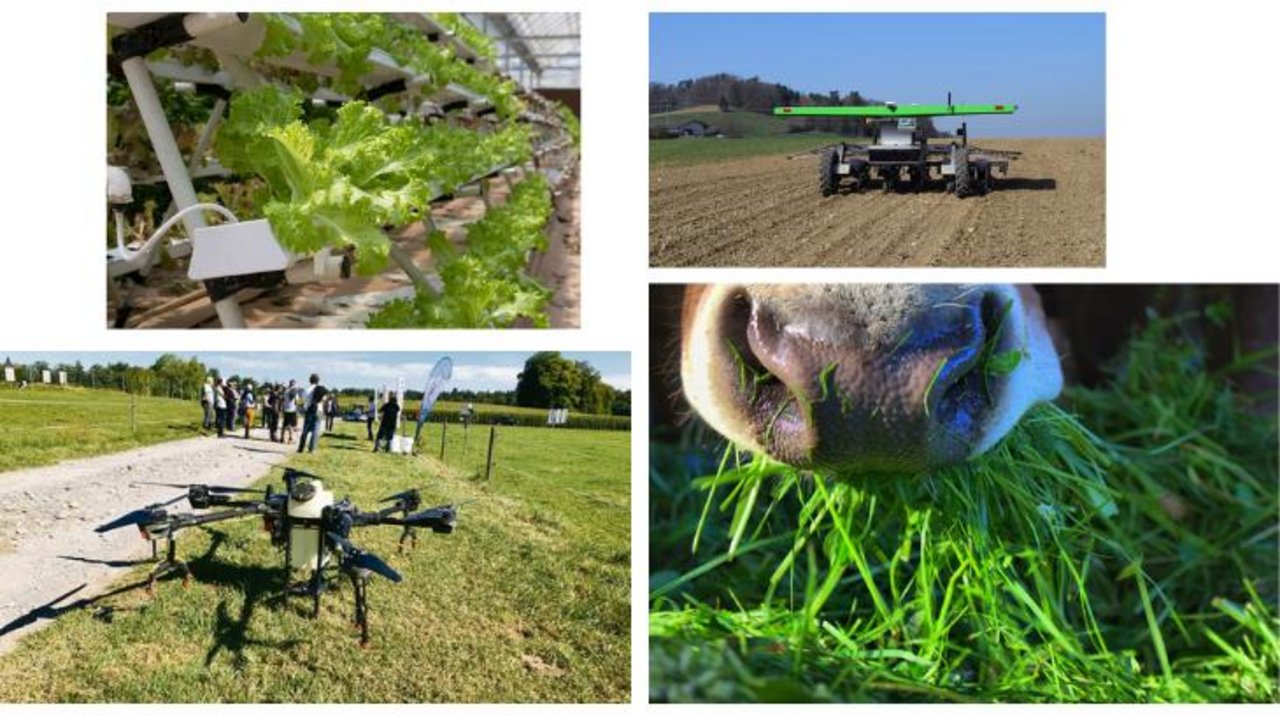 Vertical Farming, Roboter, diverse Anwendungen von Drohnen und klimaschonende Futterzusätze sind Beispiele für landwirtschaftliche «Clean Technlologie». (Bilder Bauz/Pixabay)