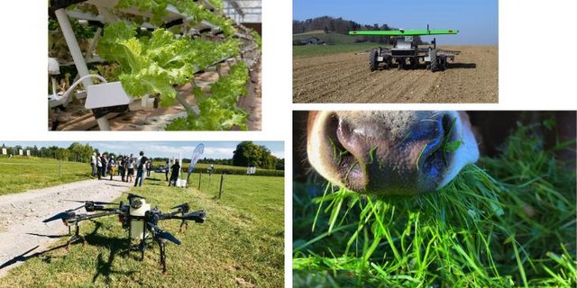 Vertical Farming, Roboter, diverse Anwendungen von Drohnen und klimaschonende Futterzusätze sind Beispiele für landwirtschaftliche «Clean Technlologie». (Bilder Bauz/Pixabay)
