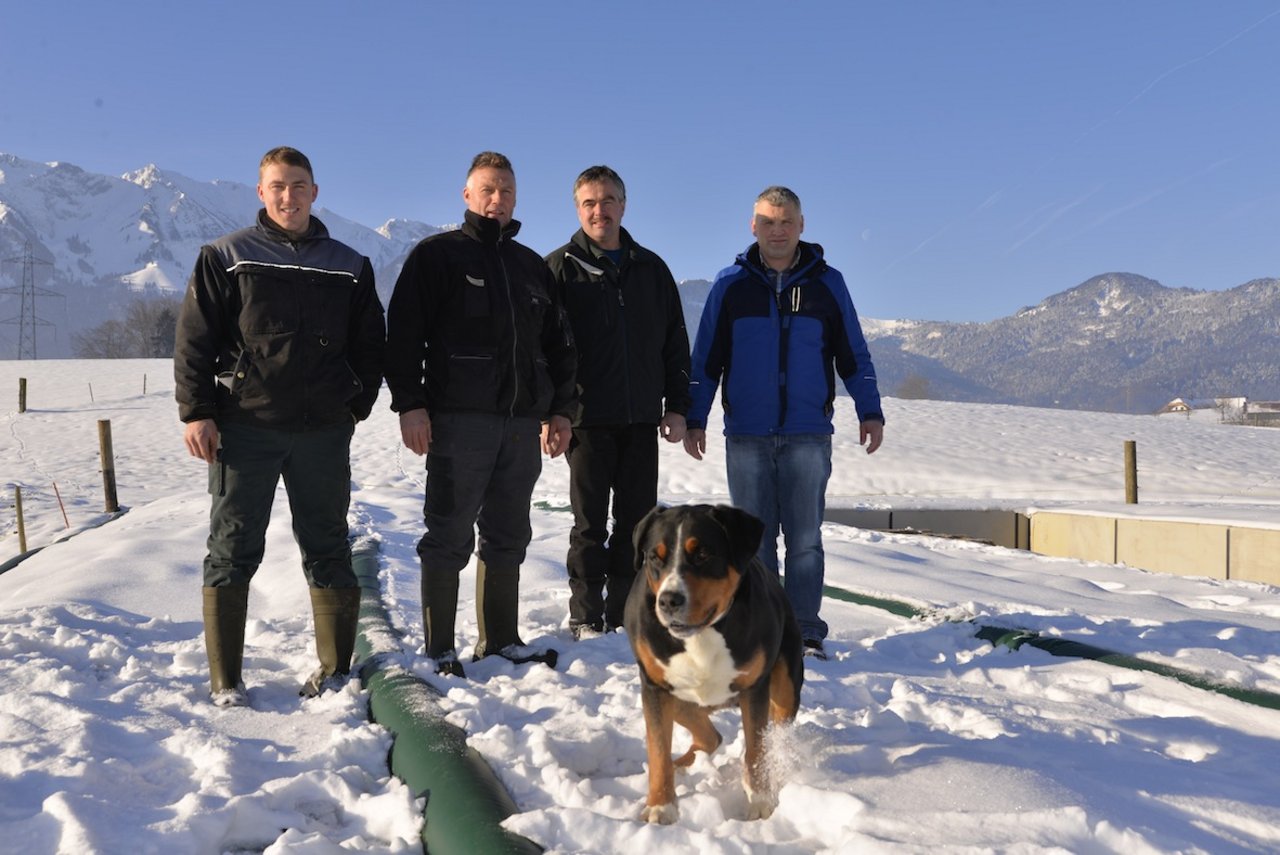 Simon und Martin Wenger, sowie die Fahrsilospezialisten Martin Häberli und Guido Hegg (v.l.n.r.) auf dem schneebedeckten Fahrsilo. 