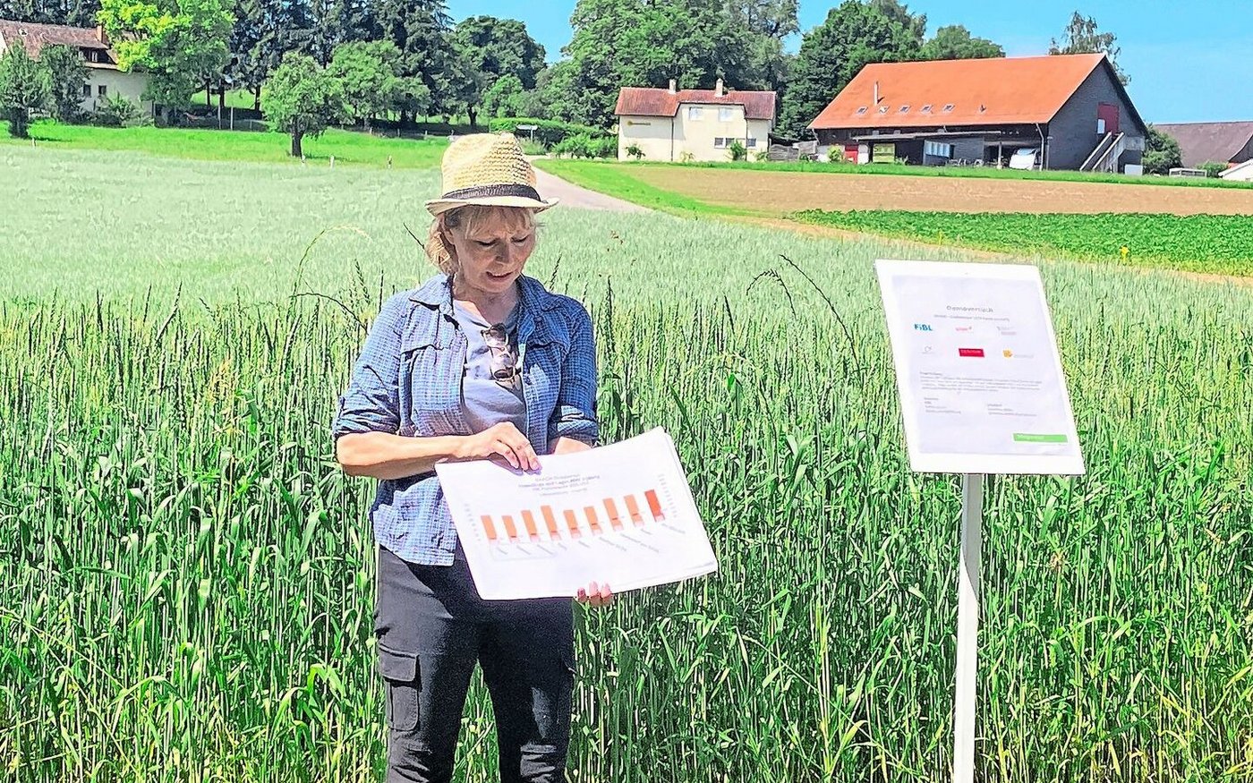 Katrin Carrel empfiehlt interessierten Dinkelproduzent(innen), schon vor der Aussaat einen Marktpartner zu suchen.
