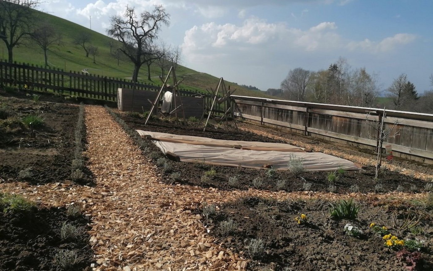 Der Garten im Frühling, als der Lavendel als Beetumrandung frisch gepflanzt war. (Bild Anina Marbot)