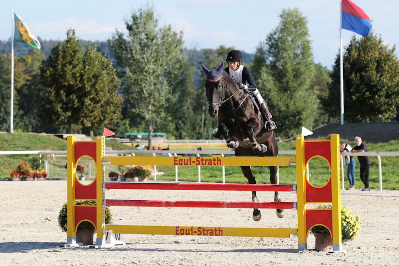 Impressionen vom Pferdefestival.