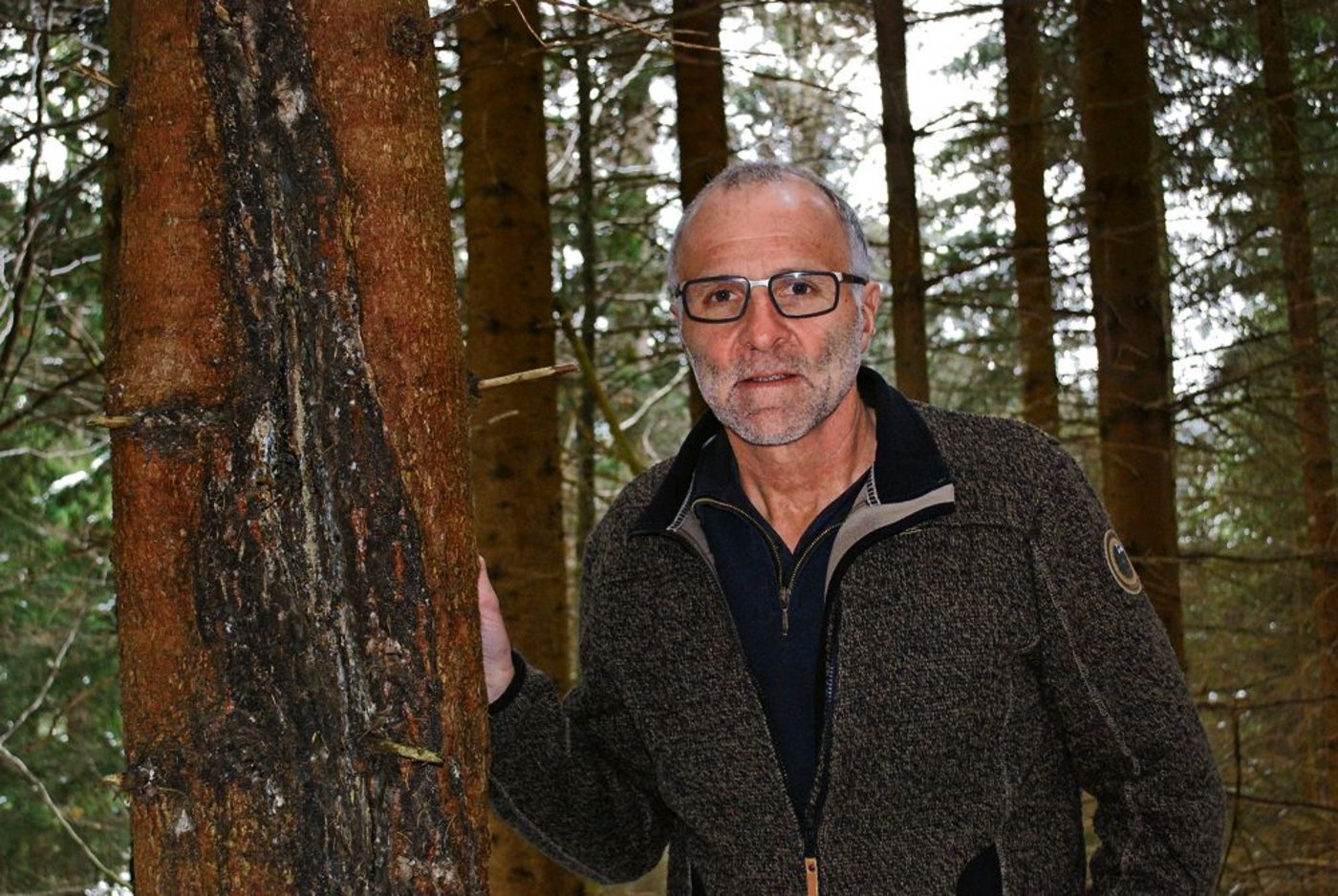 Förster Hans Stauffer, Betriebsleiter Forstbetrieb Sigriswil. In seinem Revier hat er zahlreiche Wldschäden zu beklagen. (Bilder Julia Schwery)
