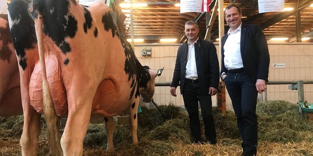 Ruedi Gasser (rechts) und Hansjörg Räz sind Unternehmer. Sie sind beteiligt an der Schaukuh Au Parchy Doorman Jolie. (Bild zVg)