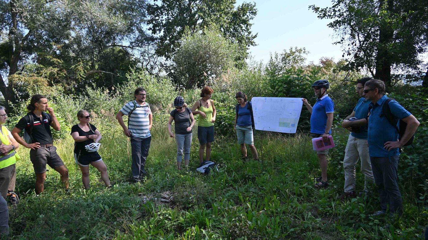 Das kleine Waldstück Schuldismatt mitten in Wiesland ist das aktuellste Projekt. Der FLS will in Zusammenarbeit mit Pro Natura ein Feuchtbiotop anlegen.  