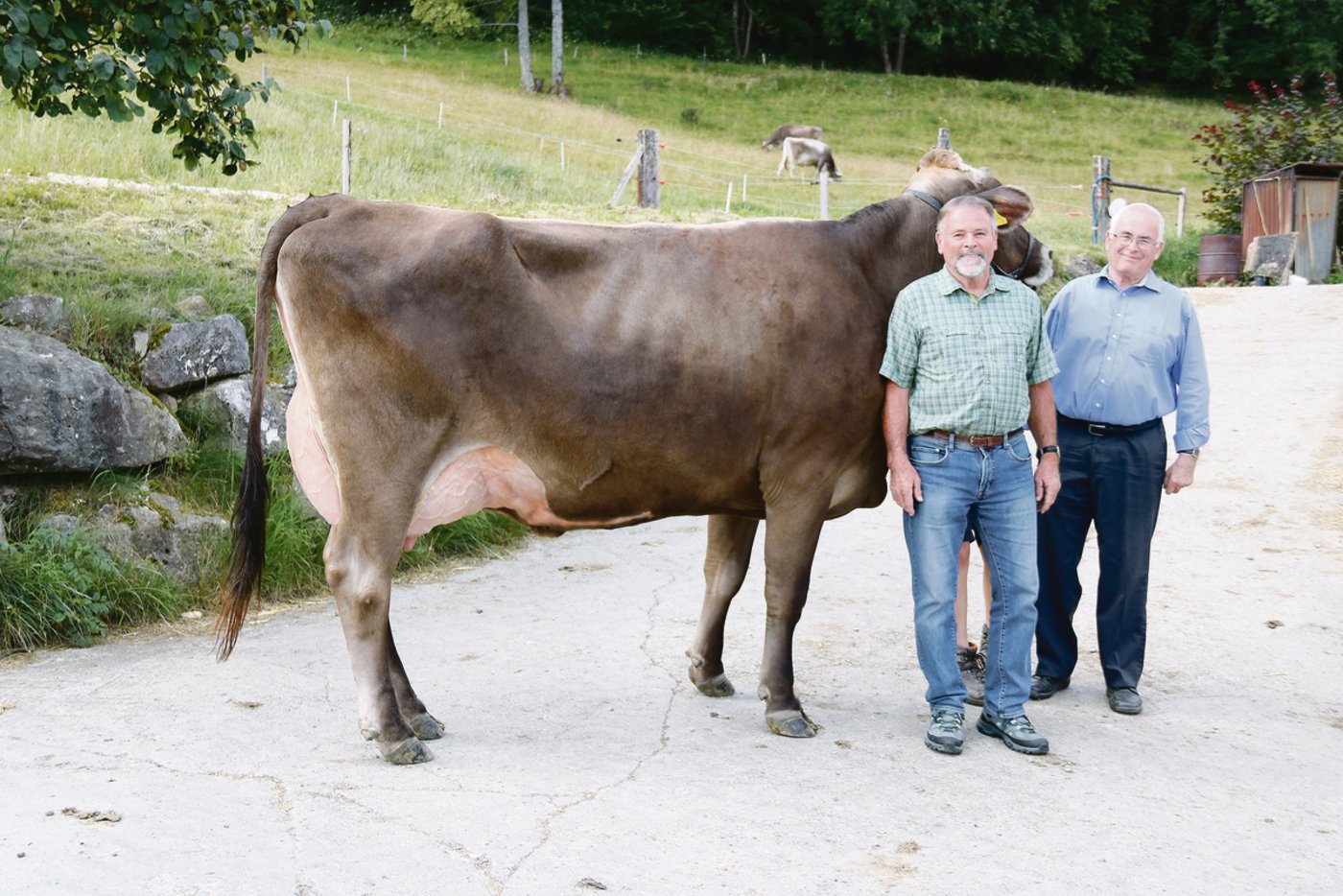 Christian Sutter (l.) und Roland Baumgartner mit der Braunviehkuh von Familie Annen: BS Bajazzo Sarah 94 Ex: «Dieses Resultat zeuge von konsequenter Zuchtstrategie», sagen sie.
