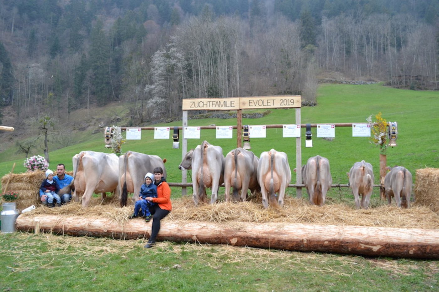 Auch bei Braunvieh Schweiz hätte es dieses Jahr 198 Zuchtfamilien zu beurteilen gegeben. (Bild Braunvieh Schweiz)