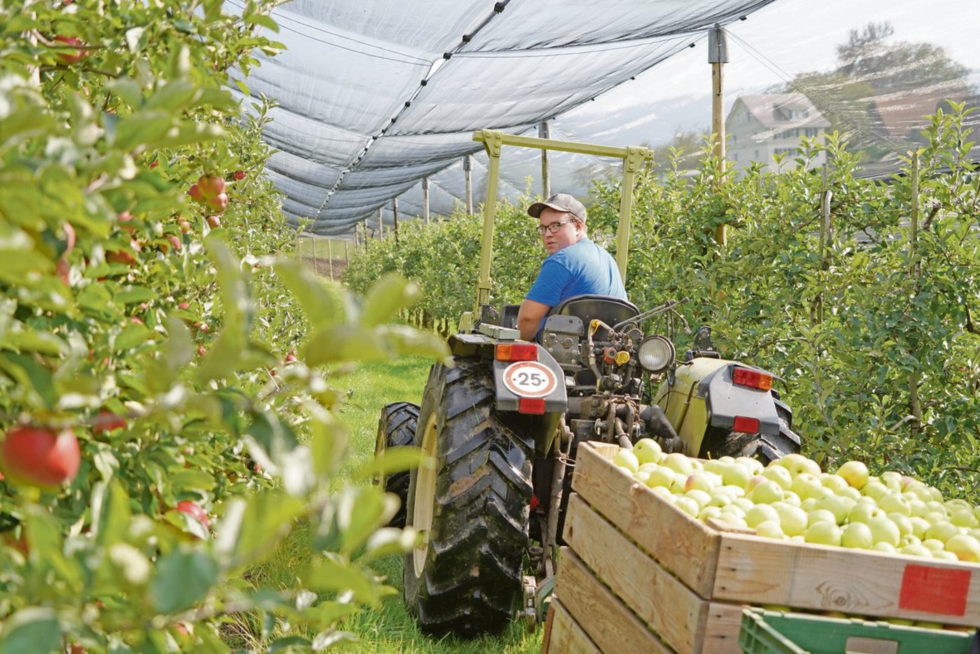 Beat Streckeisen aus Berg TG befindet sich im 1. Lehrjahr zum Obstfachmann bei Familie Vinz Bütler in Wädenswil ZH. (Bild Beat Streckeisen)