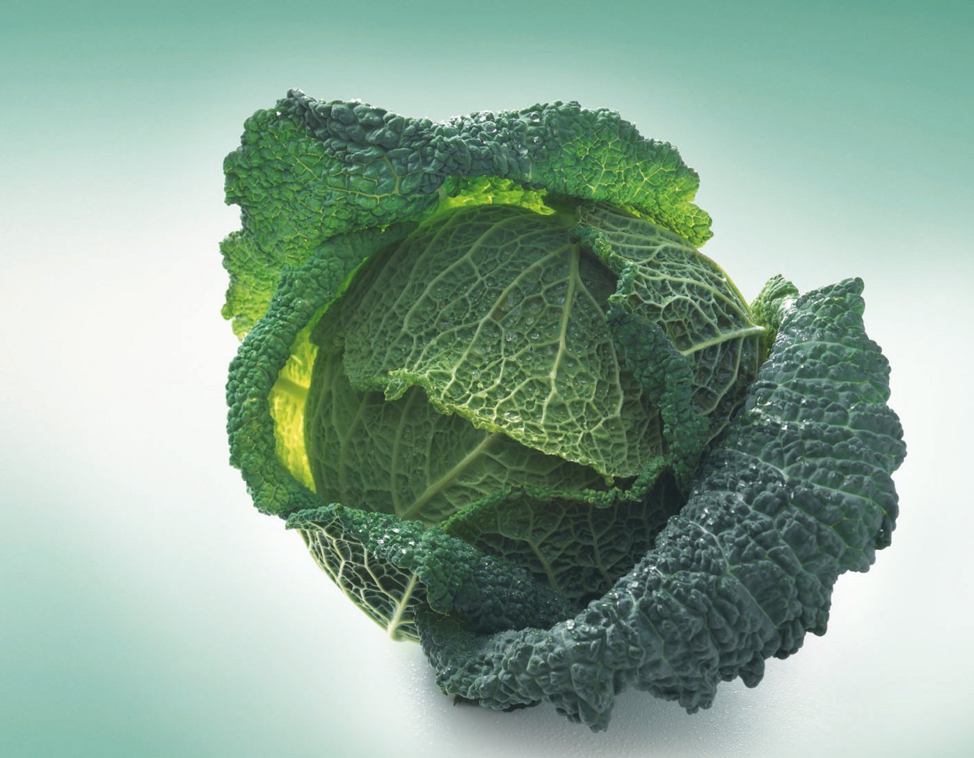 Beliebtes Gemüse im Winter: Wirz. (Bild: VSGP)