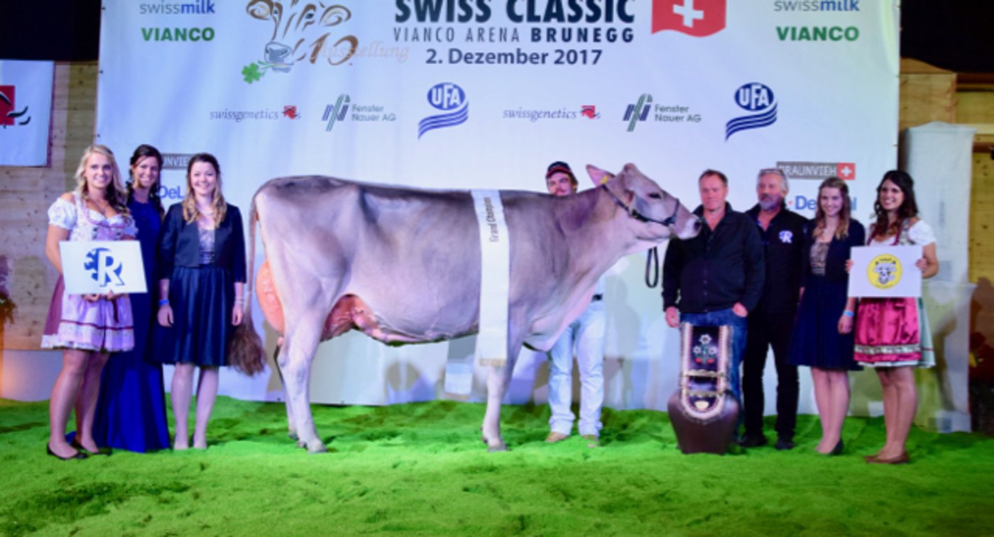 Elisa von Adrian Arpagaus ist die Grand Champion. 