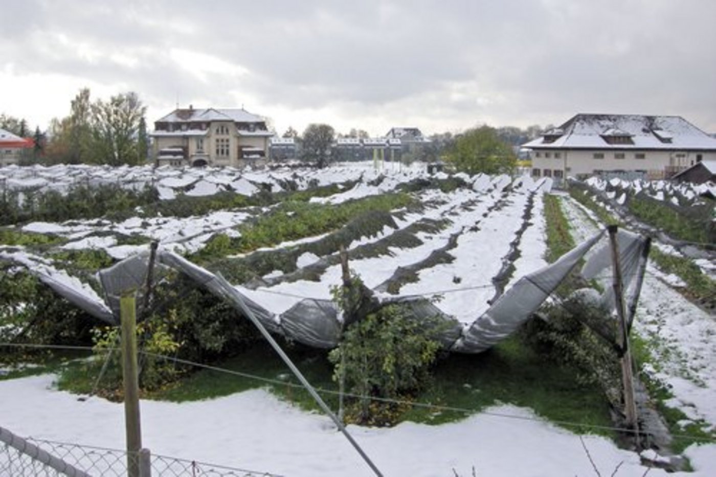 Hagelversicherungen existieren schon seit dem späten 18. Jahrhundert. (Bild: zVg)