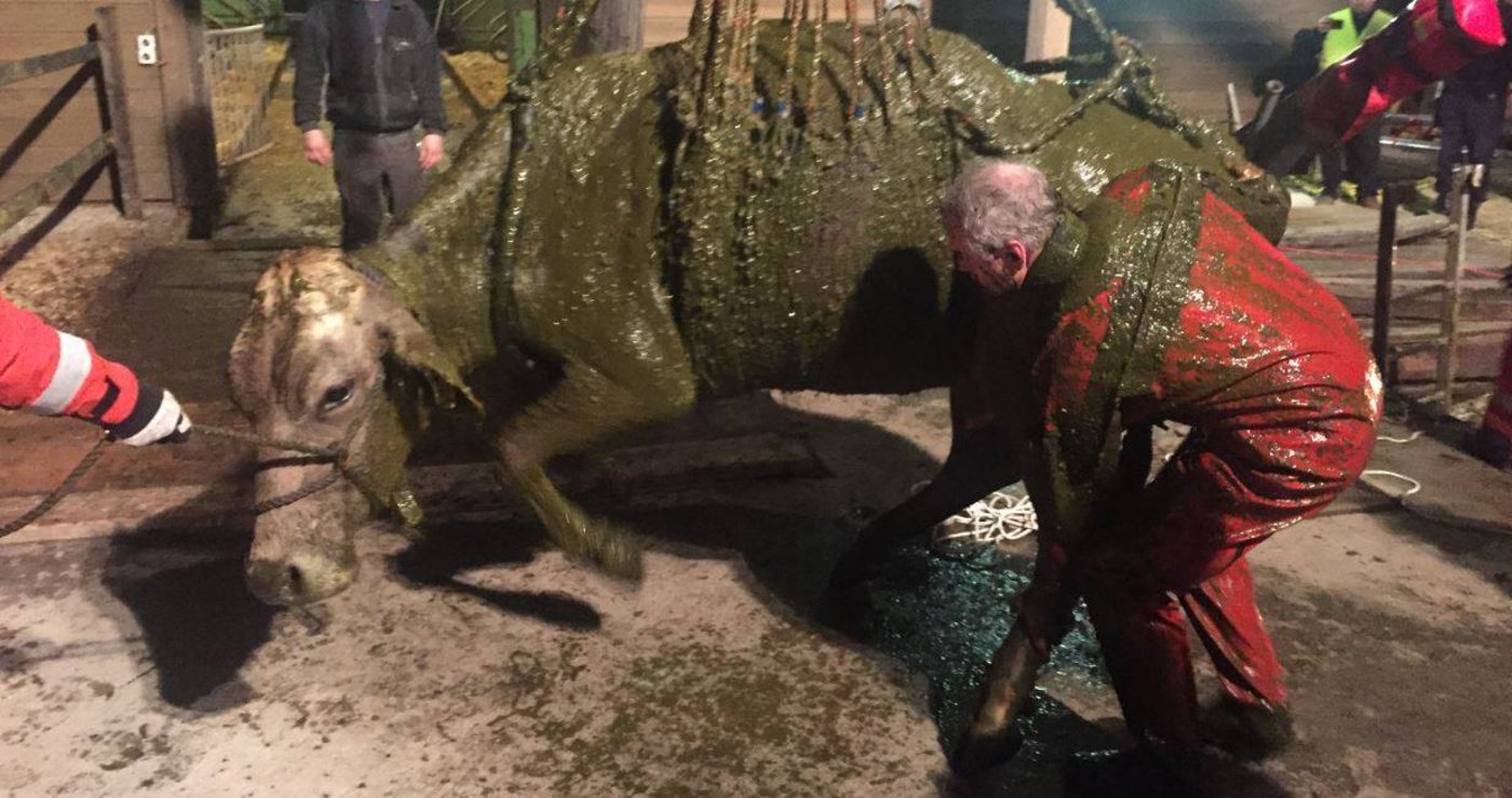 Sie blieb unverletzt.