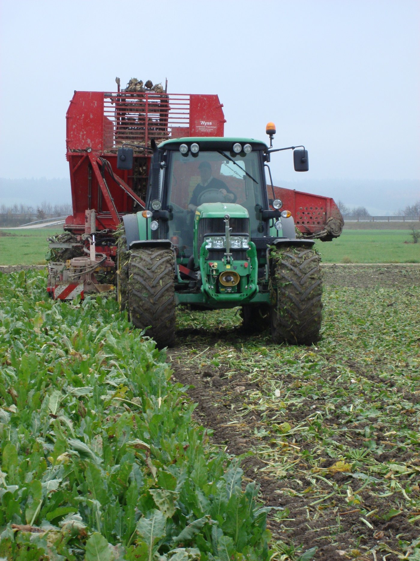 Mit der Ernte sollte zugewartet werden bis der Boden einigermassen abgetrocknet ist. (Bild Samuel Jenni, SFZ)