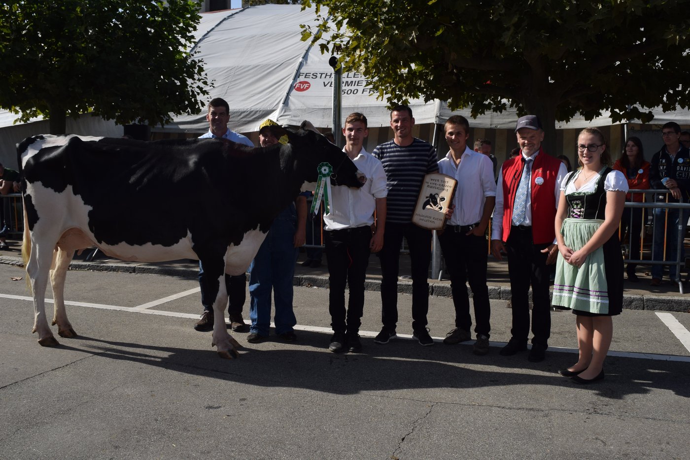 Miss Schöneuter Holstein ist Feeling von Felix Würth.