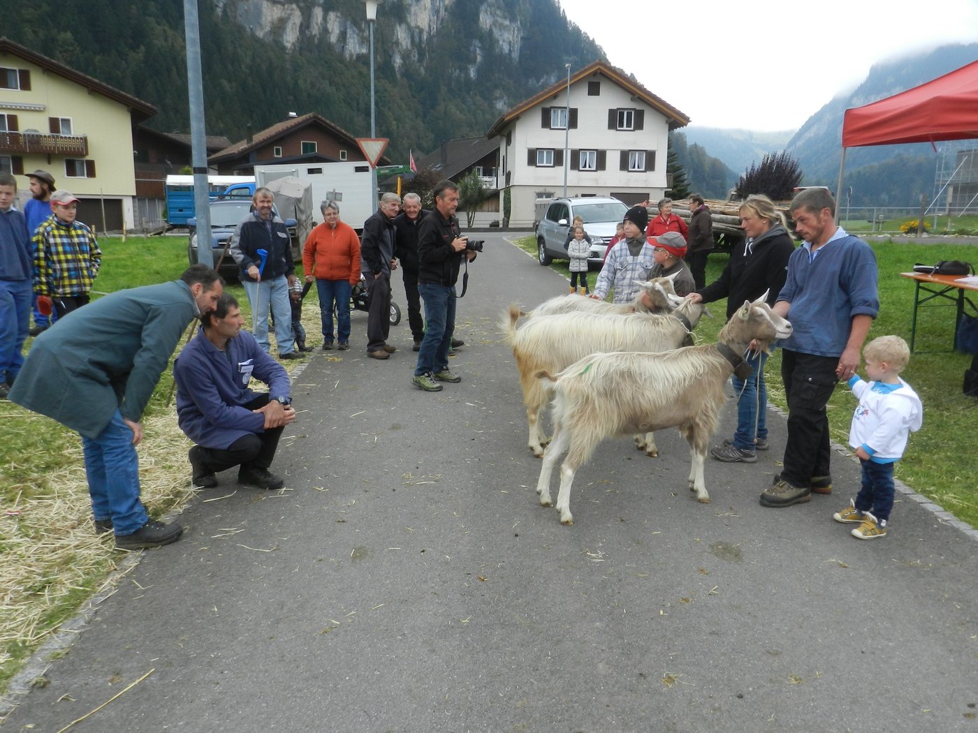 Bei der Ernennung der Miss Ziege schauten die Preisrichter Norbert von Rickenbach (links) und Pius Diethelm (rechts) genau hin.