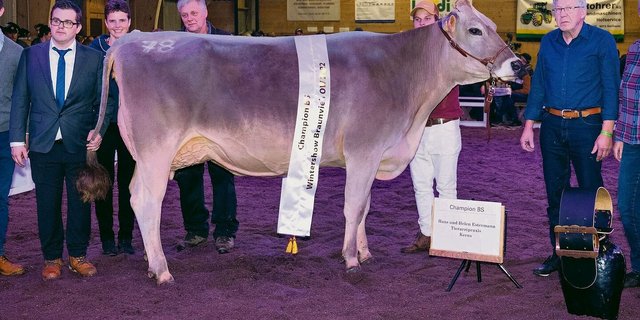 Die Swiss Classic Champion setzte sich auch an ihrer Heimschau durch: Phill Estell von der Familie Wallimann, Alpnach Dorf.  