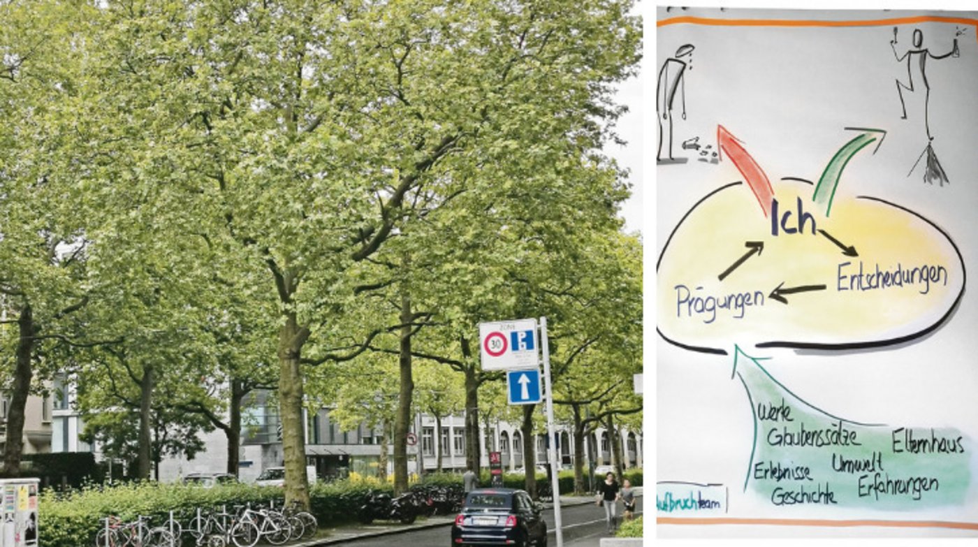 Li: Wir werden vielfältig geprägt. Ob uns das stark oder schwach macht, können wir selber entscheiden. (Zeichnung Stefan Moser) Re: Mitten in der Stadt Bern wachsen Bäume. Ihr Lebensraum liegt unter Teer. Die Stadt hat sie geprägt und sie haben gelernt, damit zu leben und zu wachsen. (Bild sb)