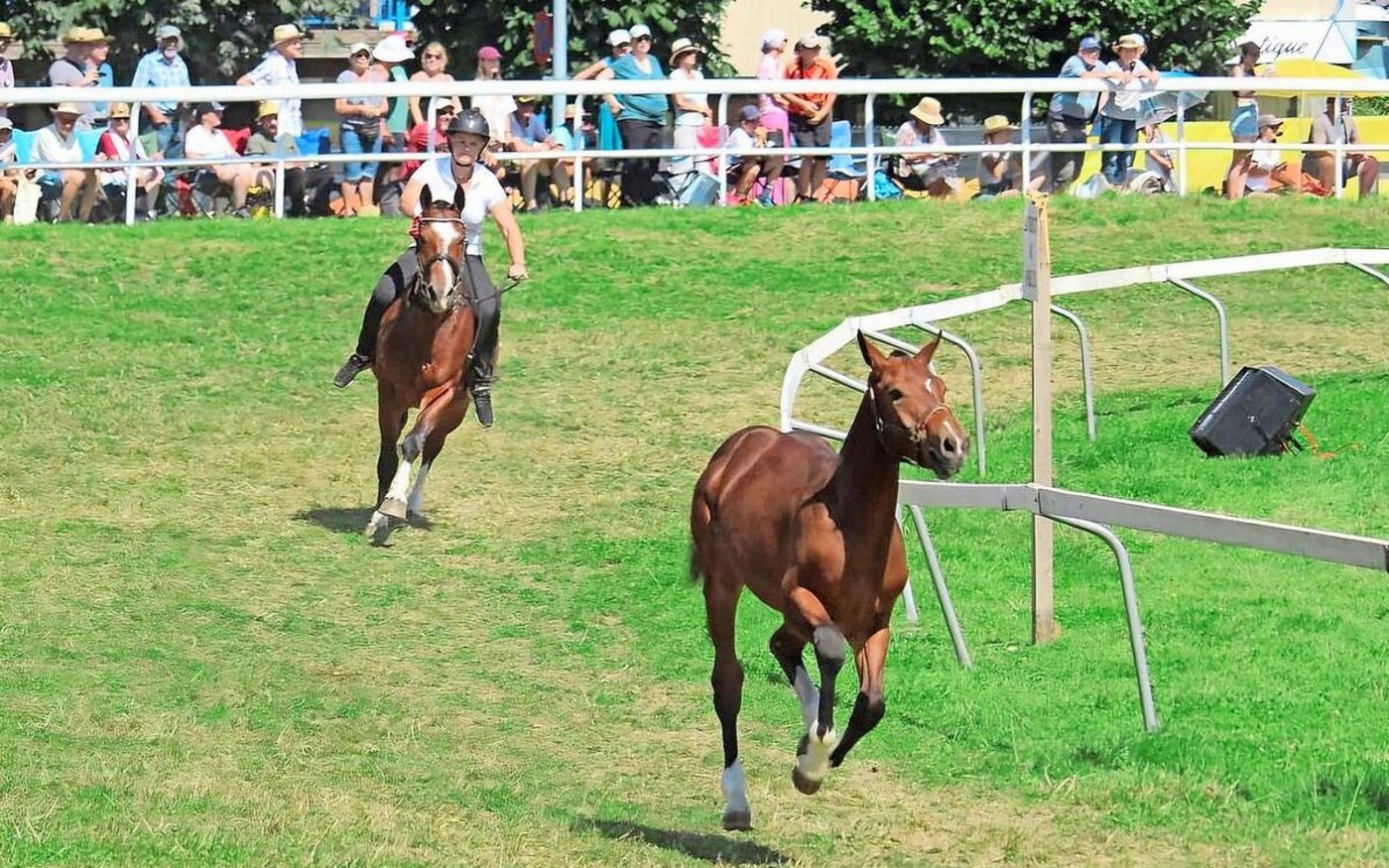 Élégant Du Pré Veuillat hat ein ziemliches Tempo drauf. Am Rennen zieht er an seiner Mutter Éclipse und ihrer Reiterin Zoé vorbei.