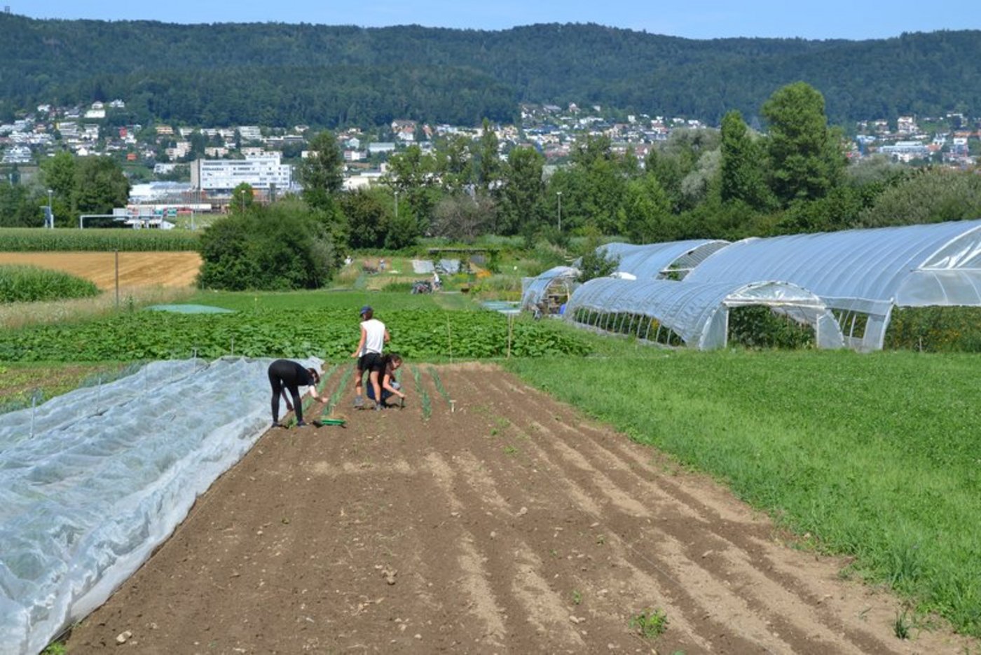 Kleinbauern und Familienbetriebe agierten als Hüter der Agrobiodiversität. (Symbolbild jsc)